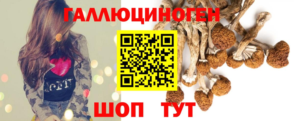 Галлюциногенные грибы прущие грибы Будённовск