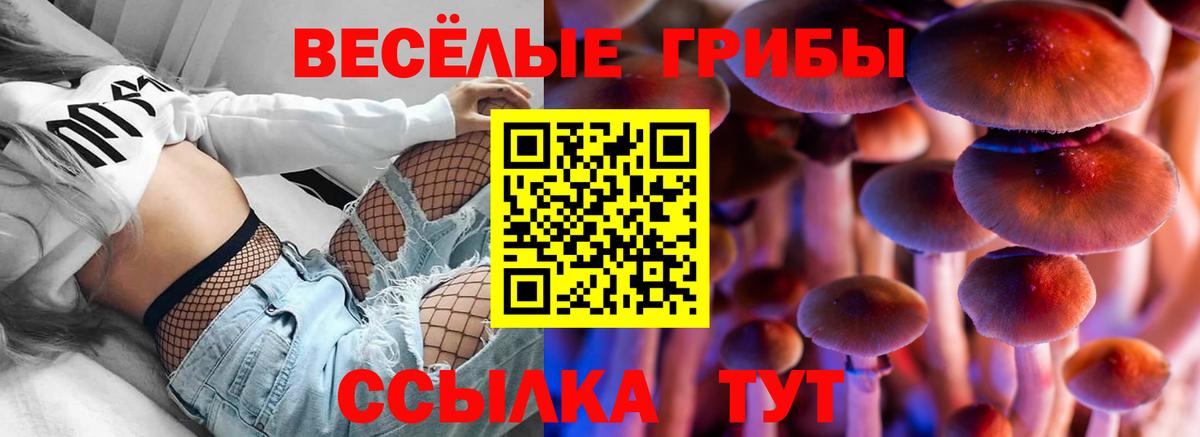 Псилоцибиновые грибы GOLDEN TEACHER  Вход с VPN  Будённовск 